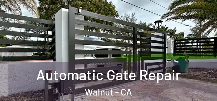 Automatic Gate Repair Walnut - CA