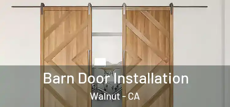 Barn Door Installation Walnut - CA