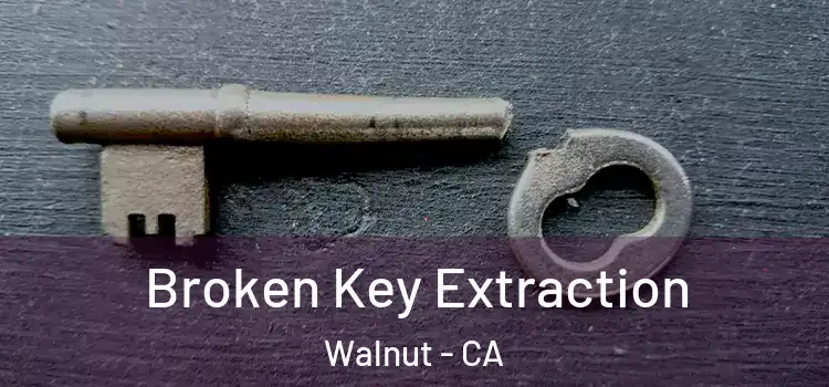 Broken Key Extraction Walnut - CA