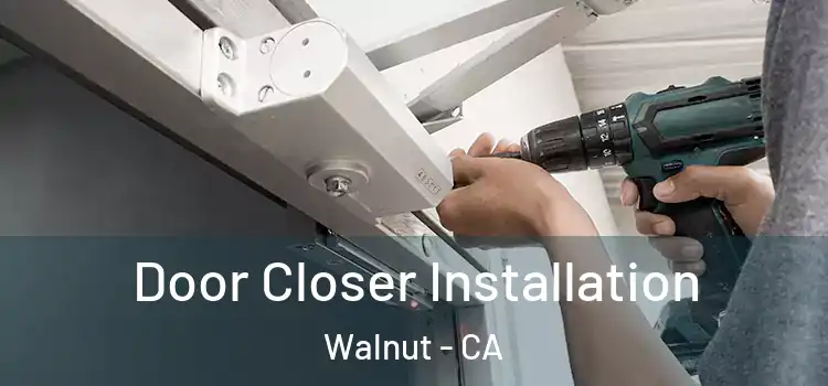 Door Closer Installation Walnut - CA