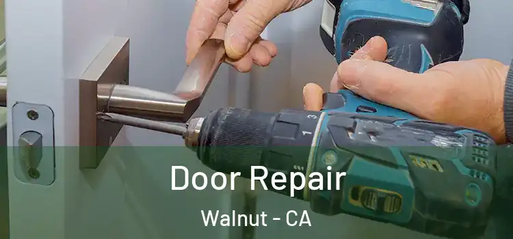 Door Repair Walnut - CA
