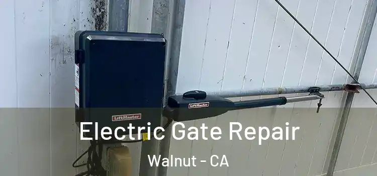 Electric Gate Repair Walnut - CA