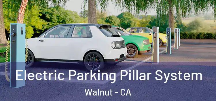 Electric Parking Pillar System Walnut - CA
