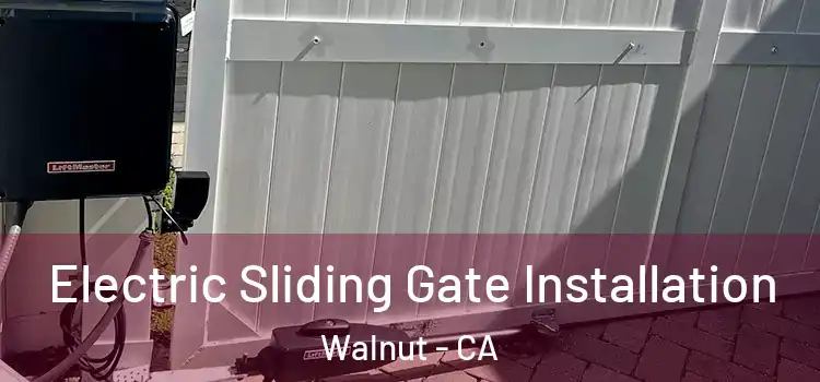 Electric Sliding Gate Installation Walnut - CA