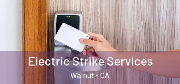 Electric Strike Services Walnut - CA
