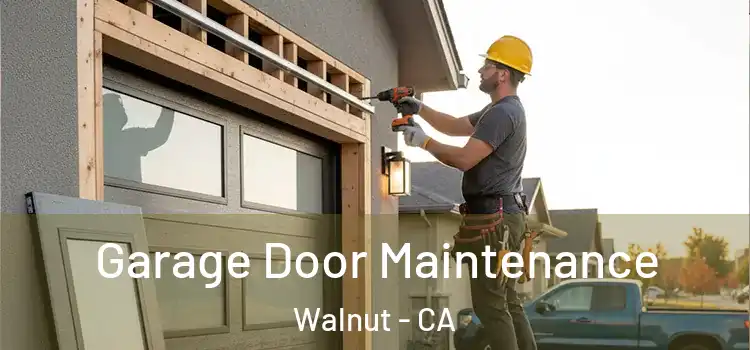 Garage Door Maintenance Walnut - CA