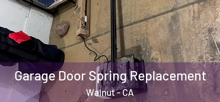  Garage Door Spring Replacement Walnut - CA