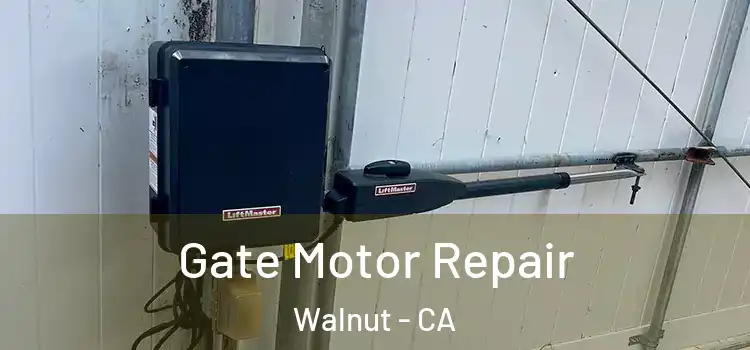 Gate Motor Repair Walnut - CA