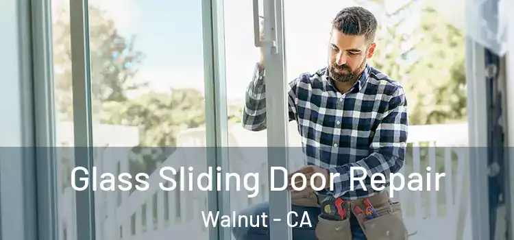 Glass Sliding Door Repair Walnut - CA
