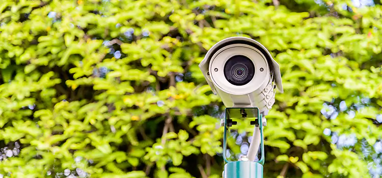 Advanced Surveillance Solutions for Every Need in Walnut