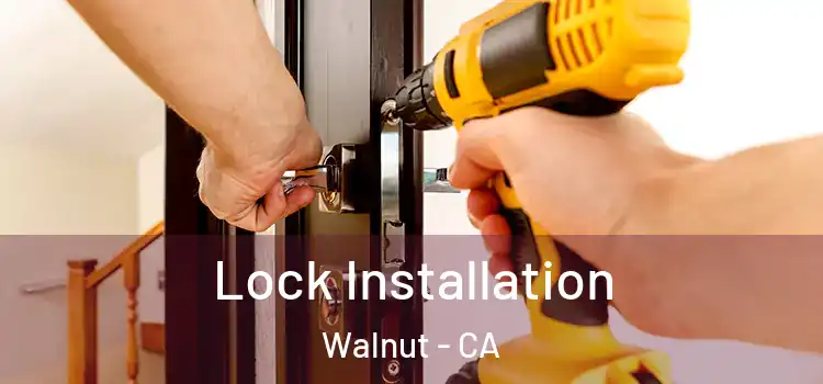 Lock Installation Walnut - CA