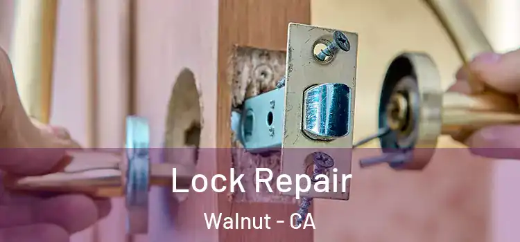 Lock Repair Walnut - CA