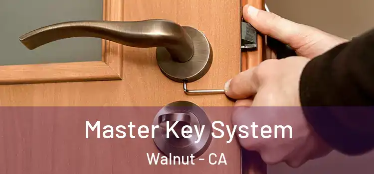 Master Key System Walnut - CA