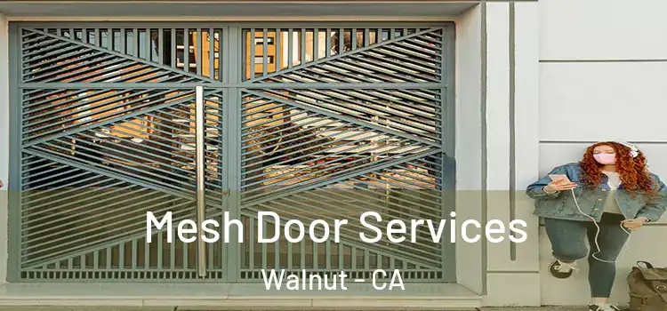 Mesh Door Services Walnut - CA