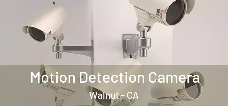  Motion Detection Camera Walnut - CA