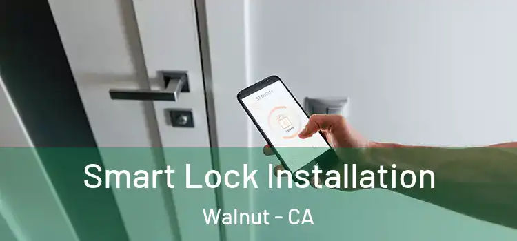 Smart Lock Installation Walnut - CA