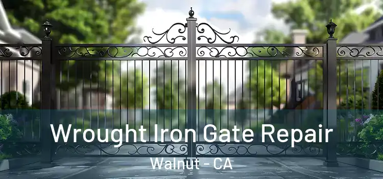 Wrought Iron Gate Repair Walnut - CA